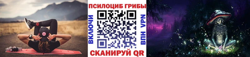 мориарти Telegram  Адыгейск  Псилоцибиновые грибы мицелий  магазин продажи  